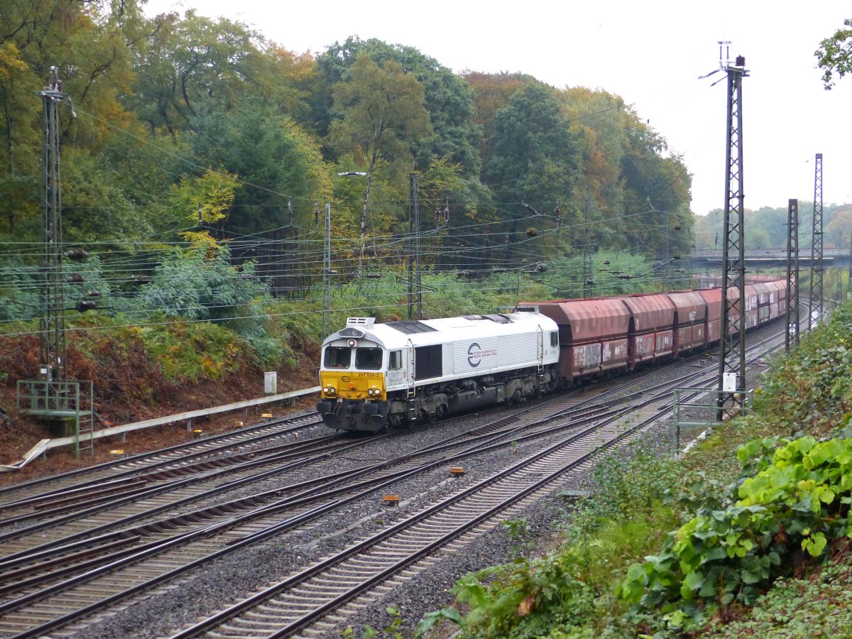 ECR (Euro Cargo Rail) Diesellok 247 034-2 Abzweig Lotharstrasse, Forsthausweg, Duisburg 20-10-2016.

ECR (Euro Cargo Rail) dieselloc 247 034-2 Abzweig Lotharstrasse, Forsthausweg, Duisburg 20-10-2016.