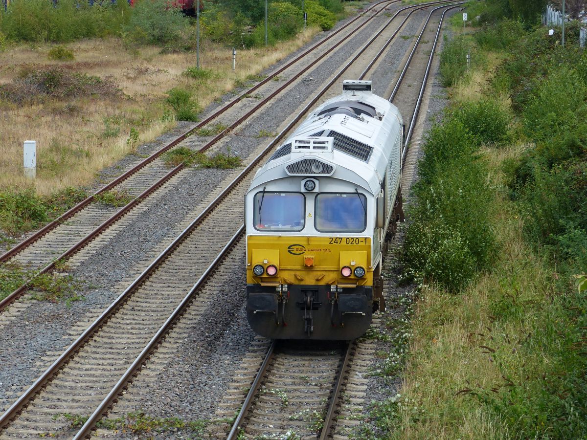 ECR (Euro Cargo Rail) Diesellokomotive 247 020-1 Wanheimerstrasse, Duisburg 21-08-2020.


ECR (Euro Cargo Rail) diesellocomotief 247 020-1 Wanheimerstrasse, Duisburg 21-08-2020.