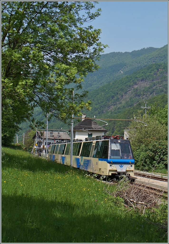 Ein ABe 12/16 wartet auf der Station Gagnone-Orcesco auf den Gegenzug. 
13. Mai 2015