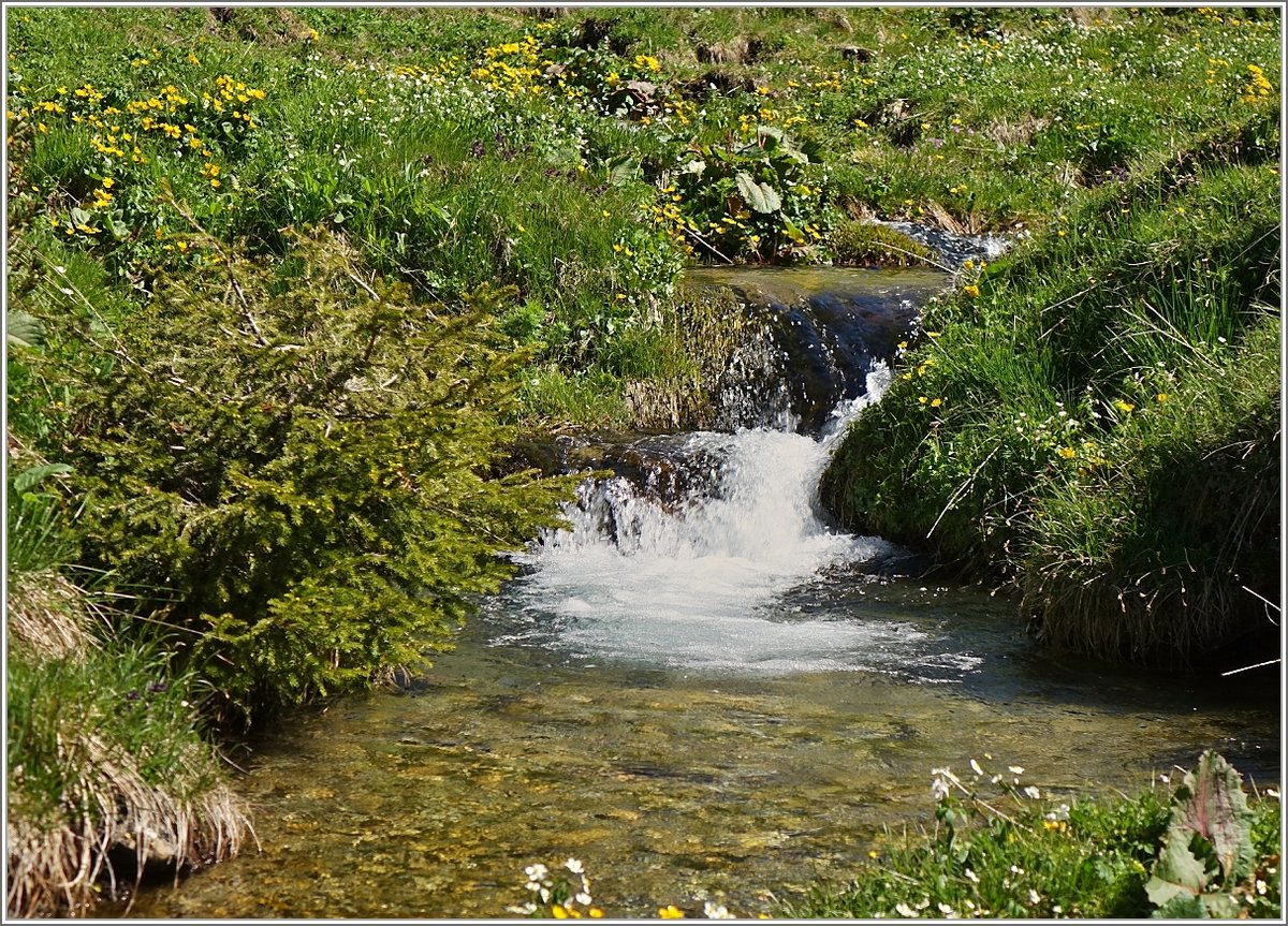 Ein Bergbach plätschert ins Tal.
(22.06.2016)