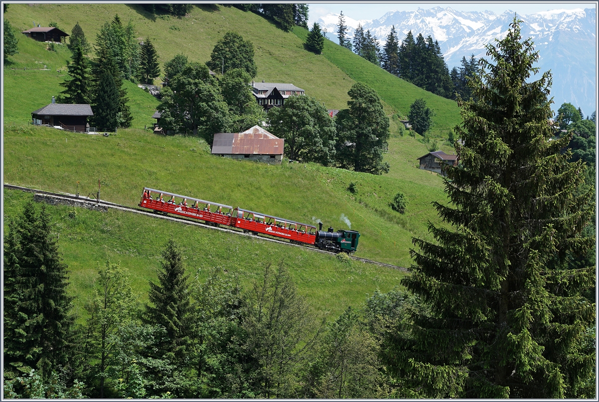 Ein BRB Dampfzug hat die Planalp verlassen und fährt nun talwärts.
7. Juli 2016