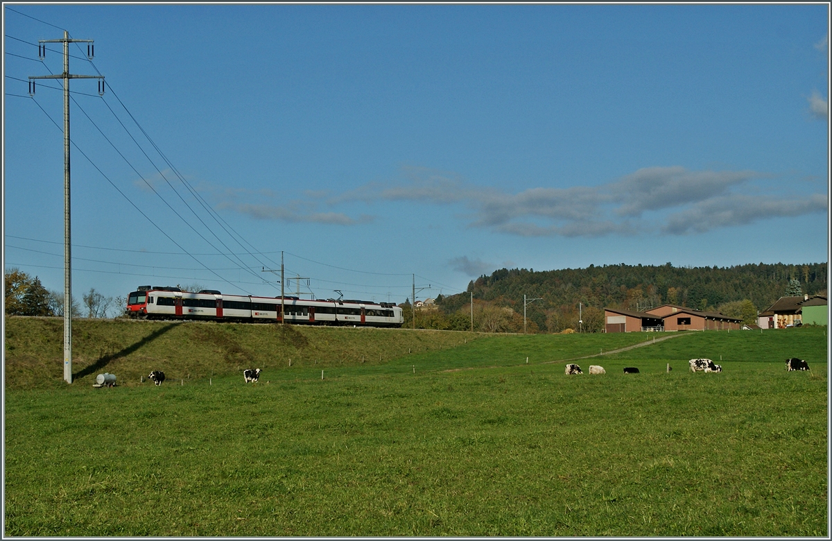 Ein Domino auf der Fahrt Richtung Payern kurz nach Palèzieux Village. 
30. Okt. 2013