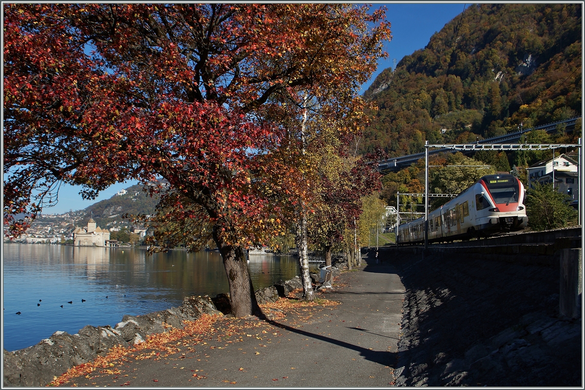 Ein Flirt als S 3 auf dem Weg nach Allaman hat Villeneneuve verlassen und wird gleich beim Château de Chillon vorbeifahren.
1. Nov. 2014