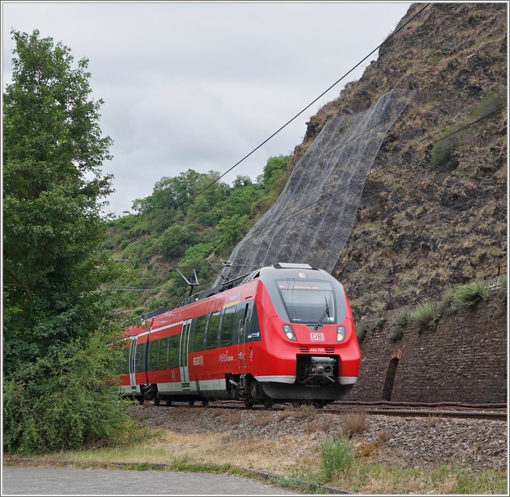 Ein Hamster kommt hinter dem Gebüsch hervor...
(20.06.2015)