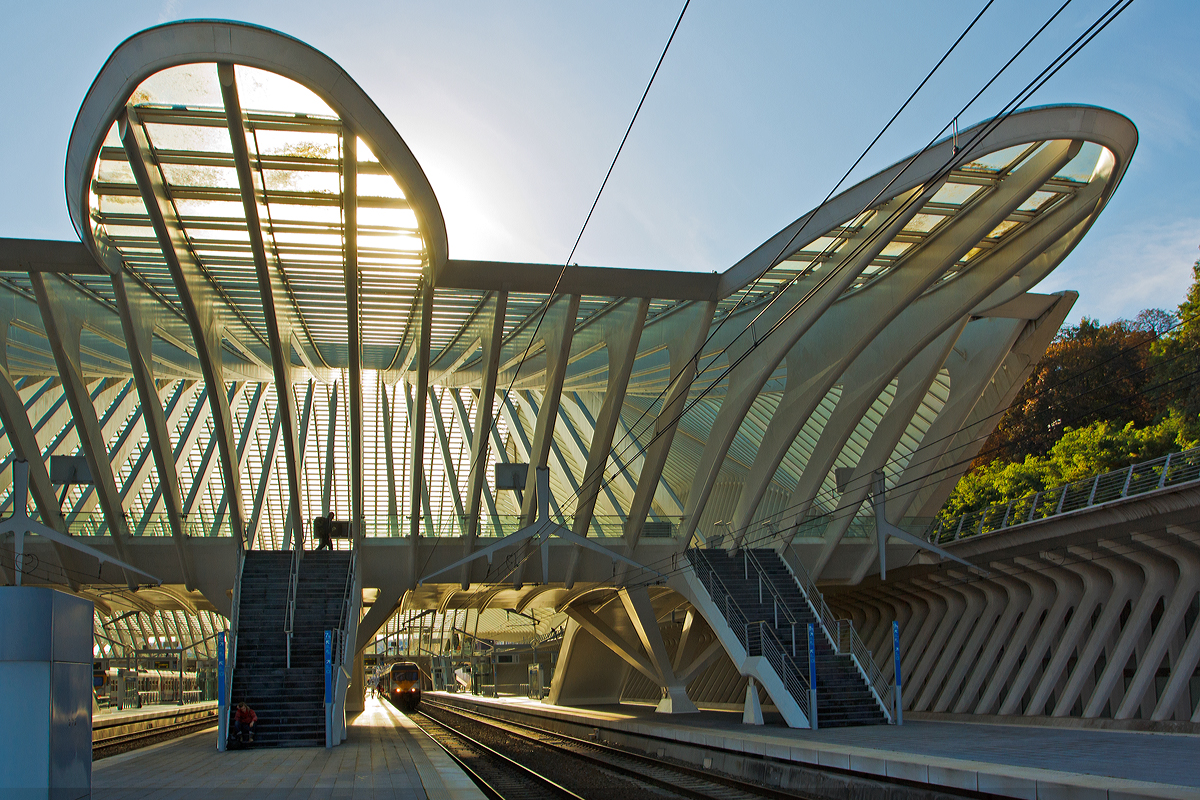 
Eine Impression mit Gegenlicht im Bahnhof Liège Guillemins (Bahnhof Lüttich-Guillemins) am 18.10.2014.