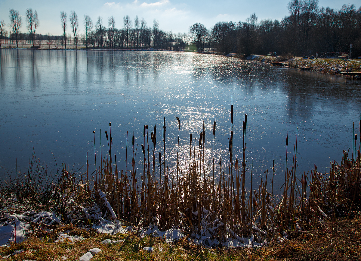 
Eine kleine winterliche Impression am Elkenrother Weiher, bei vollem Gegenlicht, hier am 16.02.2016.