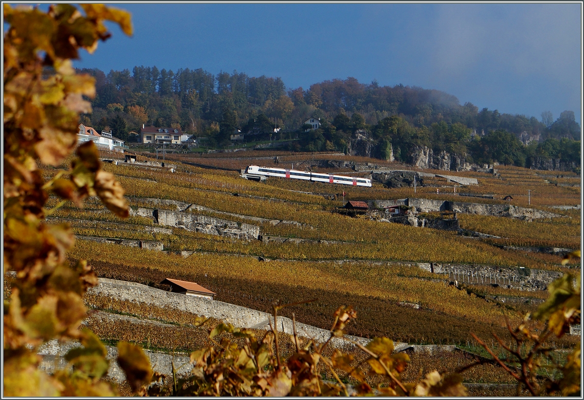 Eine Zweiteiler Dominio als S31 auf dem Weg nach Puidoux Chexbres erreicht in Körze Chexbres Village.
Ab Fahrplanwechsel sollen dies Züge um einen Mittelwagen verstärkt werden. 
2. Nov. 2014