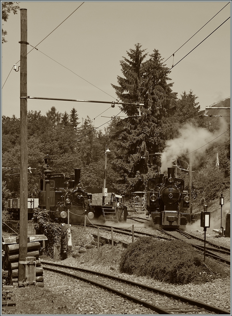 Es dampft und raucht im  BW  von Chaulin: Links im Bild die G 3/3 N° 6, rechts die G 2x 2/2 105. 

9. Juni 2014