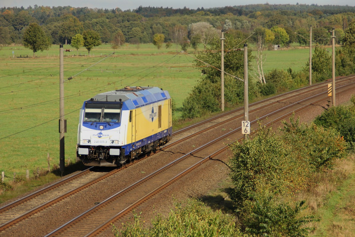 Es war der 14.10.2014 als die Frisch Hauptuntersuchte Metromom 246 005-3 Lz über die Güterumgeung bei Ramelsloh fuhr und einen kurzen hat zum Fotografieren.