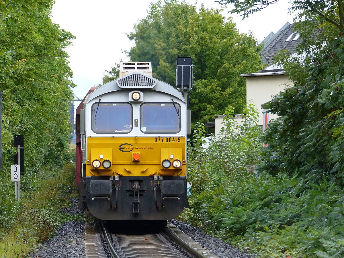 Euro Cargo Rail (ECR) Diesellok 077 004-5 Atroper Stra�e, Duisburg 14-09-2017.

Euro Cargo Rail (ECR) dieselloc 077 004-5 Atroper Stra�e, Duisburg 14-09-2017.