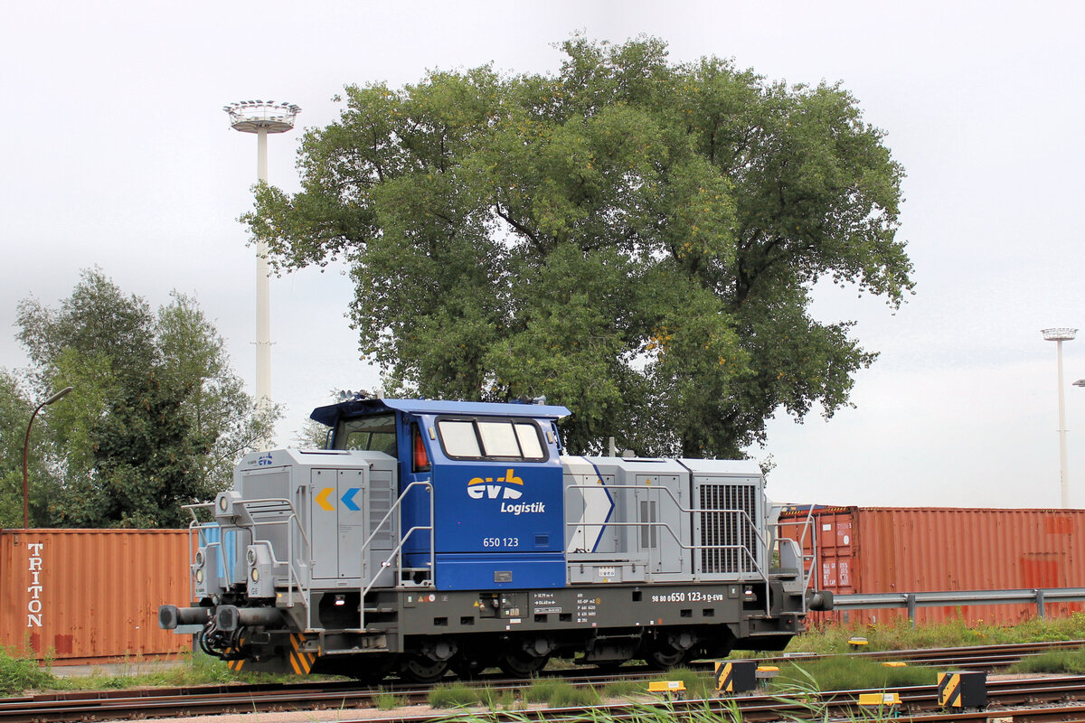 evb 650 123-9 am 28.08.2025 in Hamburg - Waltershof.