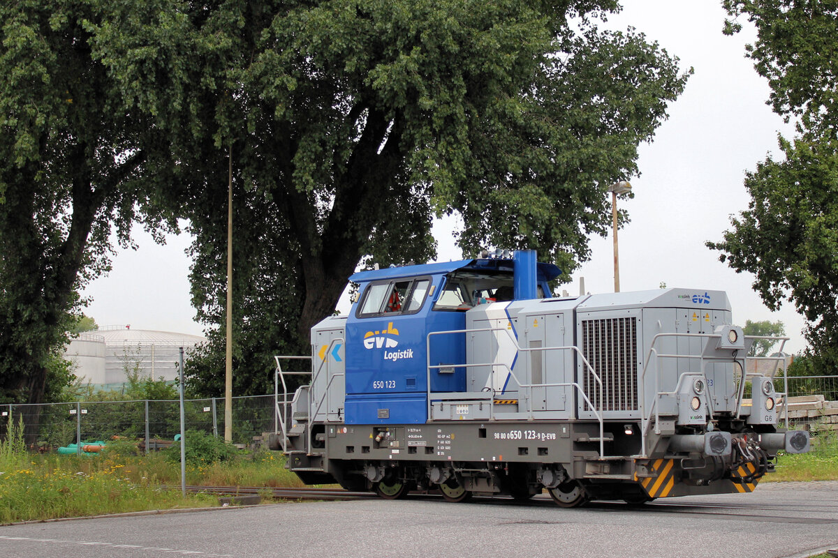 evb 650 123-9 ist auf den Weg zu ihren Abstellplatz. Hamburg - Waltershof, 28.08.2025.