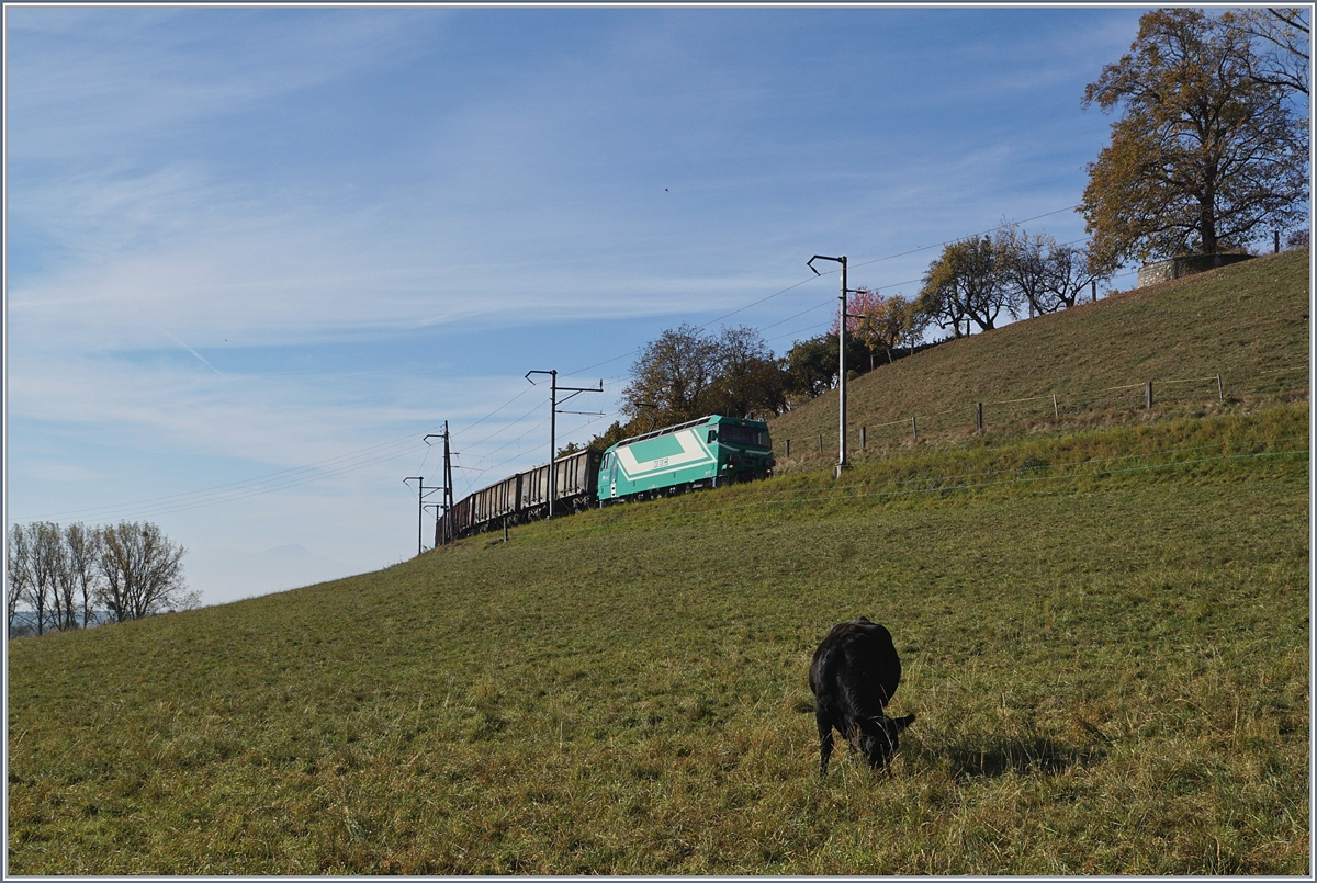 Gerade noch erwischt: Die BAM Ge 4/4 21 mit ihren leeren Eaos fr den Zuckerrbenverlad kurz vor Chardonney-Chteau bei der Fotostelle  Schwarze Kuh . 
17. Okt. 2017 