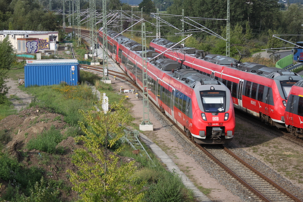 Große Haustierparty am 10.08.2019 in Warnemünde-Werft.