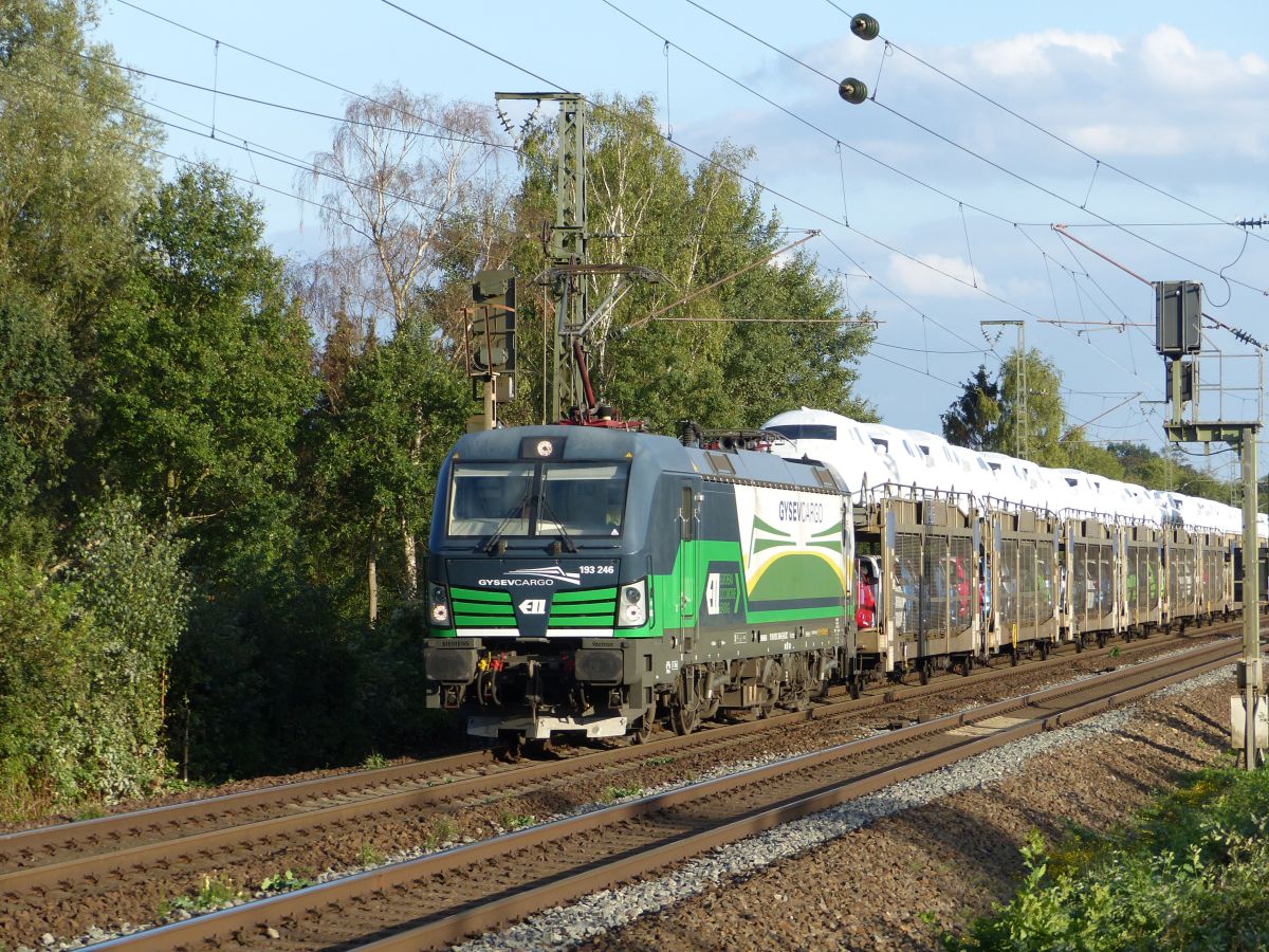 GYSEV (Győr-Sopron-Ebenfurti Vas�t Zrt.) Lokomotive 193 246-6 Devesstra�e, Salzbergen, Deutschland 13-09-2018.

GYSEV (Győr-Sopron-Ebenfurti Vas�t Zrt.) locomotief 193 246-6 Devesstra�e, Salzbergen, Duitsland 13-09-2018.