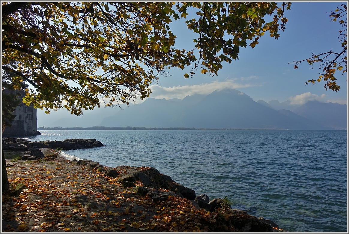 Herbst am Genfersee
(03.11.2016)