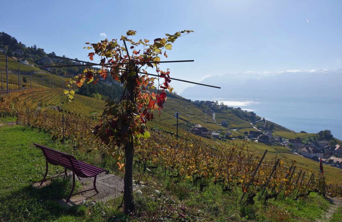 Herbststimmung am Genfersee
(23.10.2014)