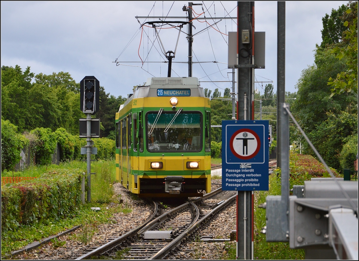 Hochflurfahrzeug Be 4/4 502, Baujahr 1981, der Neuenburger Tram im Park bei Auvernier. An dieser Stelle ist es so lauschig, weil die Autobahn direkt darunter eingegraben wurde. Juni 2016. 