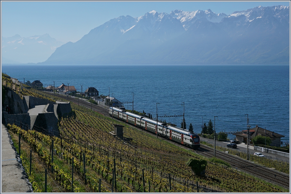 Im Gegenlicht fährt ein SBB RABe 511 als RE zwischen Vilette VD und Cully Richtung Vevey.
29.04.2017