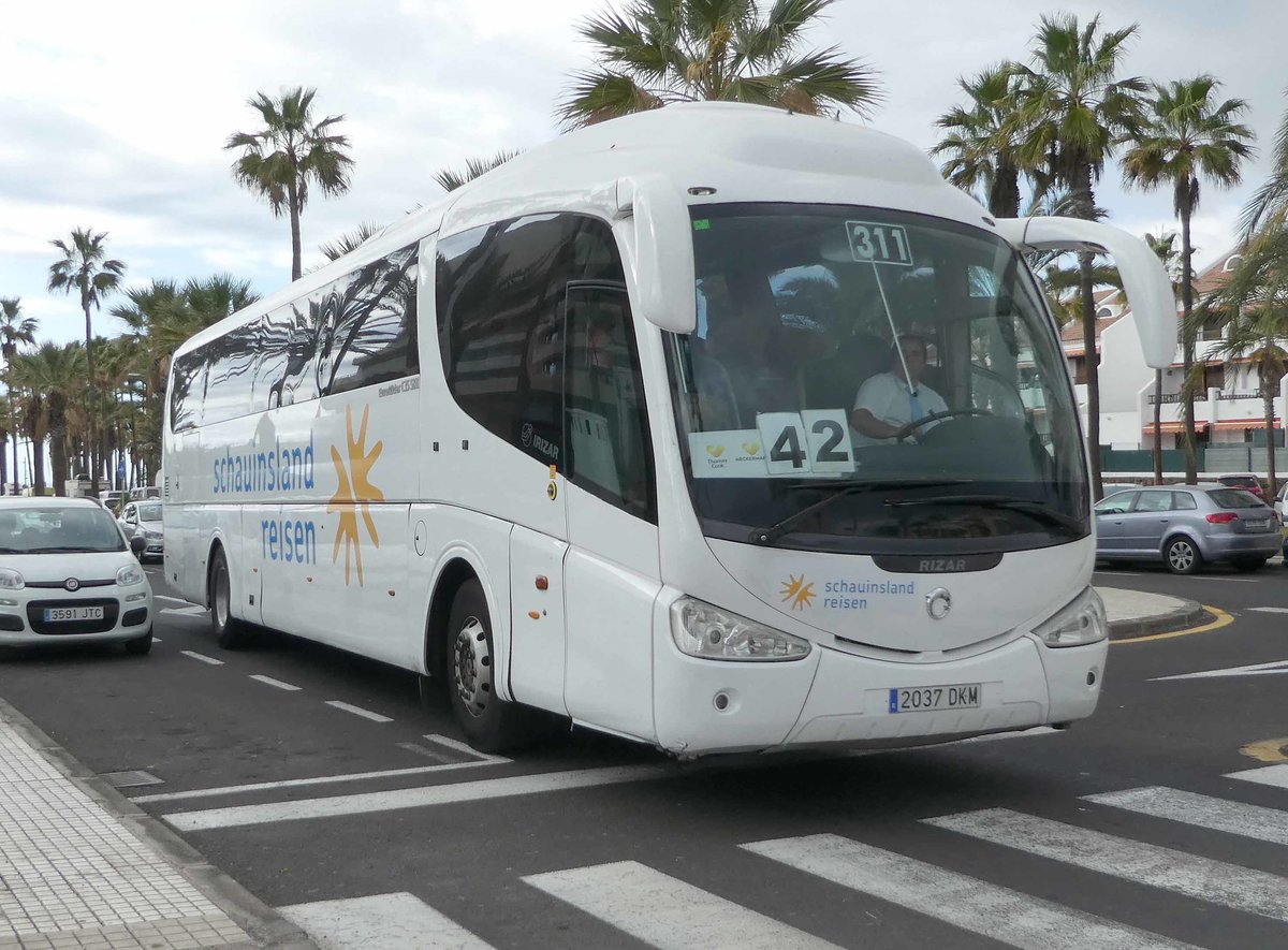 Iveco-Irisbus Irizar von SCHAUINSLAND unterwegs in Playa de las Americas/Teneriffa, 01-2019