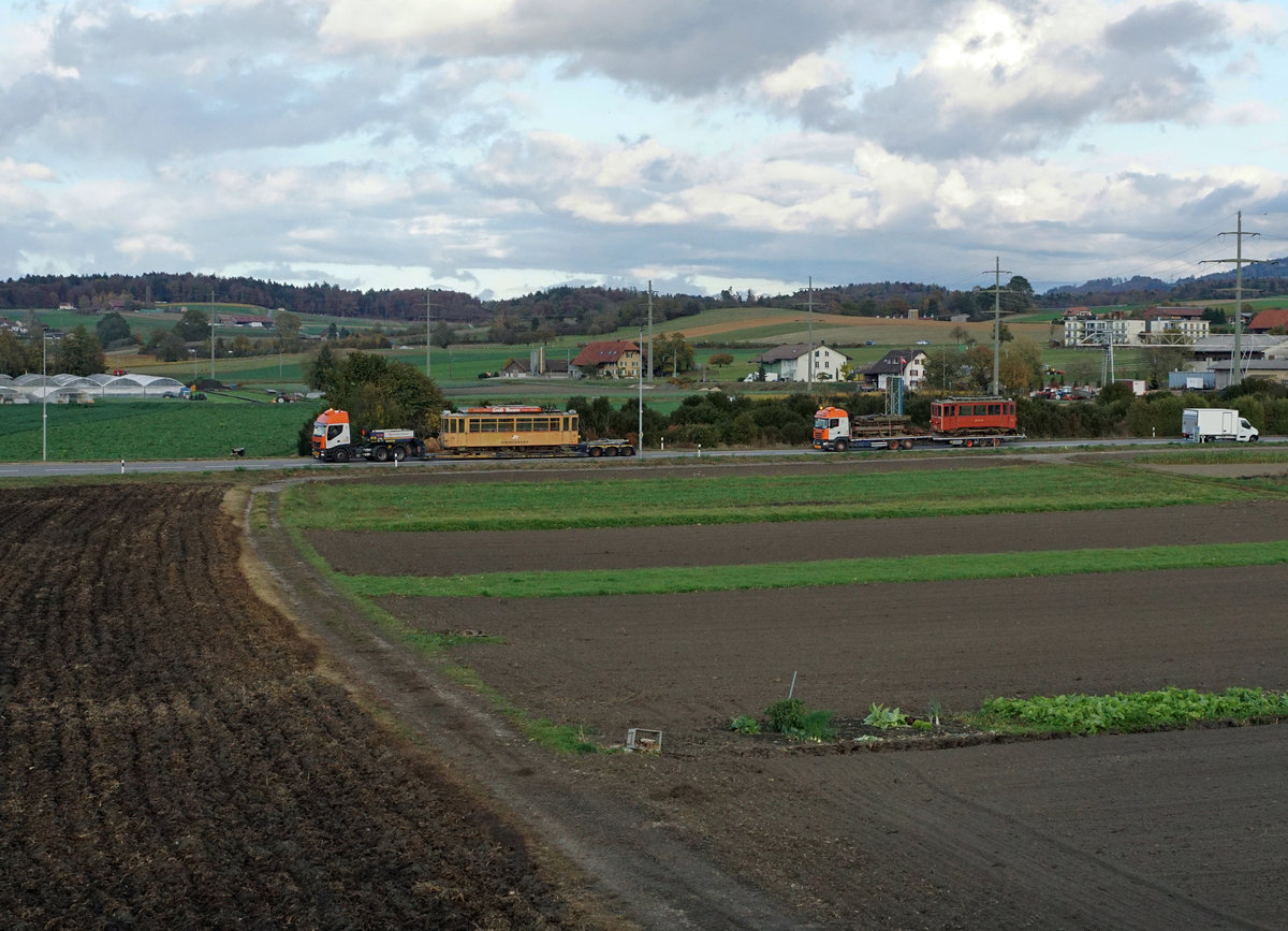 Jahresrckblick 2017
von Walter Ruetsch, Riedholz
SEPTEMBER
BMK: Bahnmuseum Kerzers.
Die ehemaligen Triebwagen Ce 2/4 13 und X 2/2 112 der Birseckbahn sowie zwei Gterwagen der Gelterkinden-Sissach Bahn haben am 27. Oktober 2017 nach einem Aufenthalt von vielen Jahren das Bahnmuseum Kerzers auf der Strasse in Richtung Tschechien verlassen.