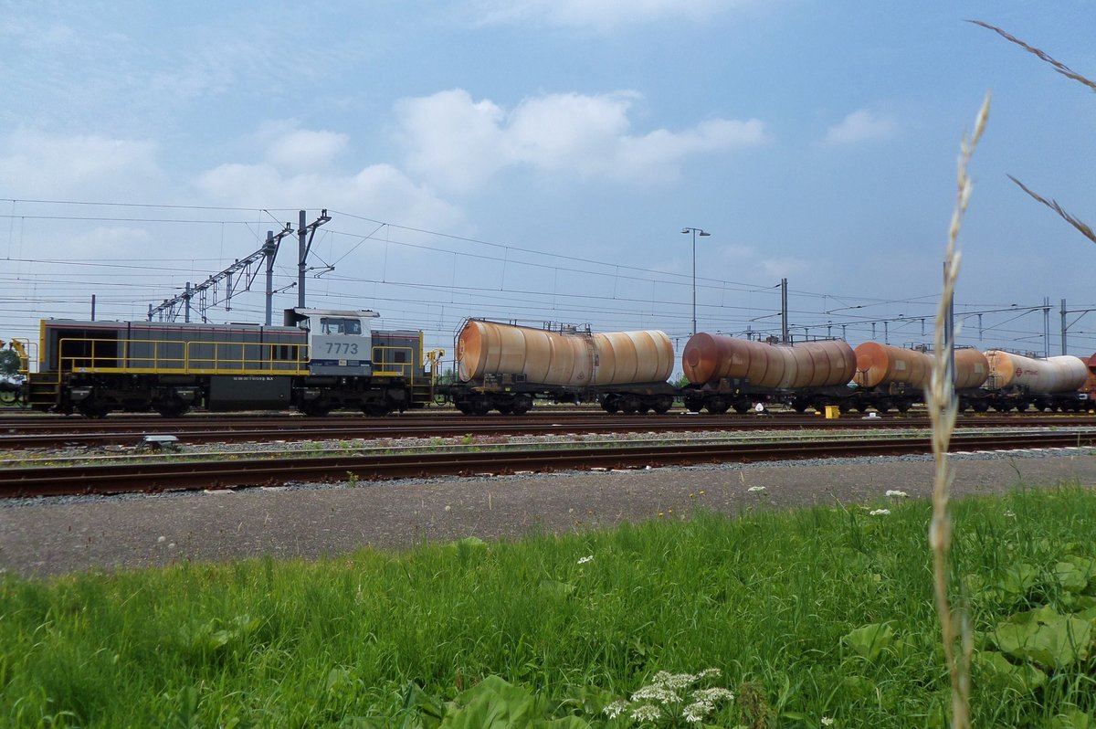 Knickkesselwagenzug mit 7773 steht am 22 Augustus 2016 in Lage Zwaluwe.