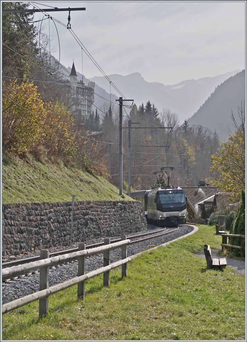 Kurz nach Gstaad erklimmt die MOB Ge 4/4 800 mit ihrem GoldenPass Express auf der Fahrt von  Montreux nach Interlaken die Steigung in Richtung Schönried. 

13. Oktober 2024