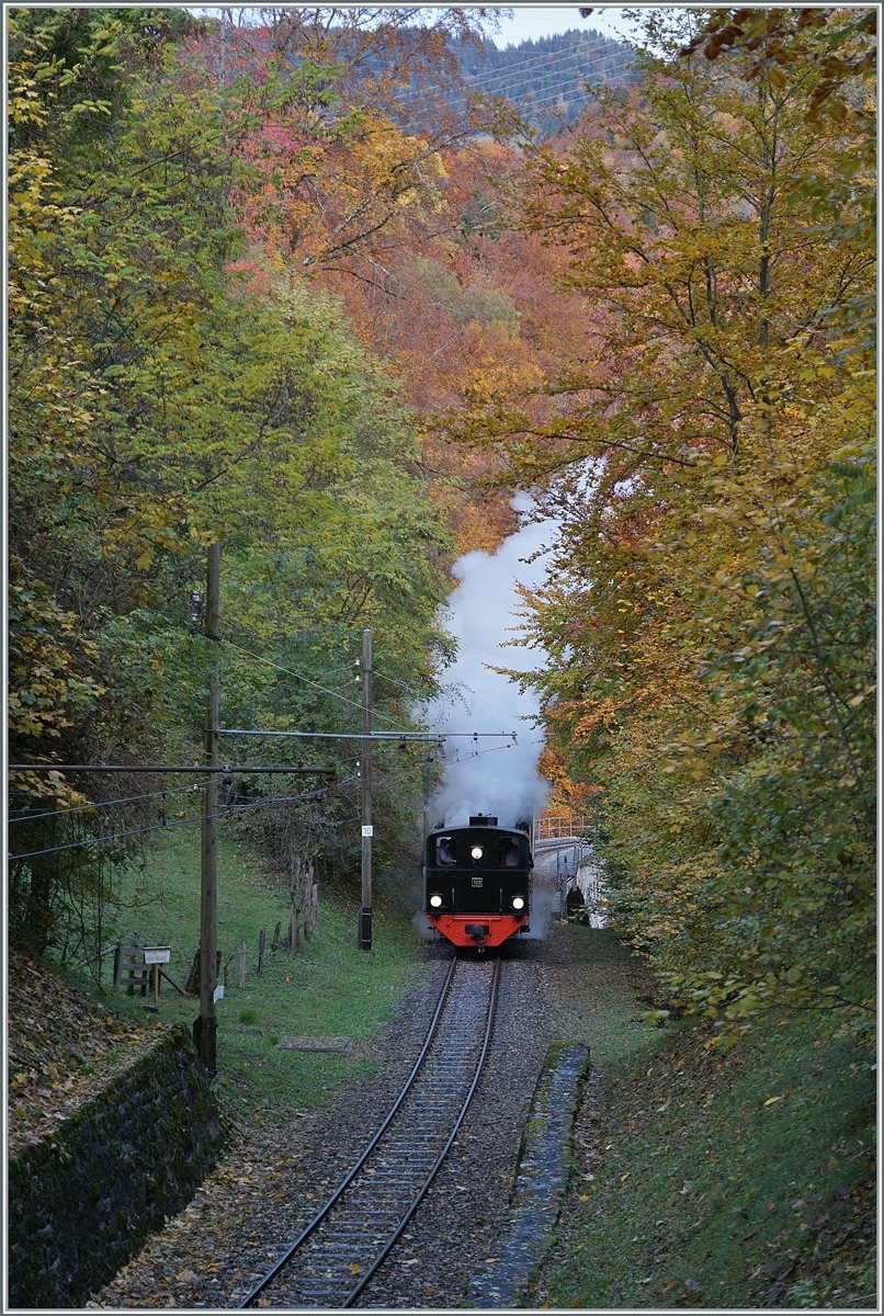  LA DER 2020 du Blonay-Chamby  / Saison Abschluss der Blonay-Chamby Bahn: Mit einem verstärkten Fahrplan und viel Dampf wird vor dem  Winterschlaf  (bzw. Arbeit im DépÔt Chaulin) nochmals viel Betrieb gemacht. Die G 2x 2/2 105 mit ihrem Reisezug auf dem Weg nach Blonay kurz nach dem Überqueren des Baye de Clarnes Viaduktes. 

24. Okt. 2020