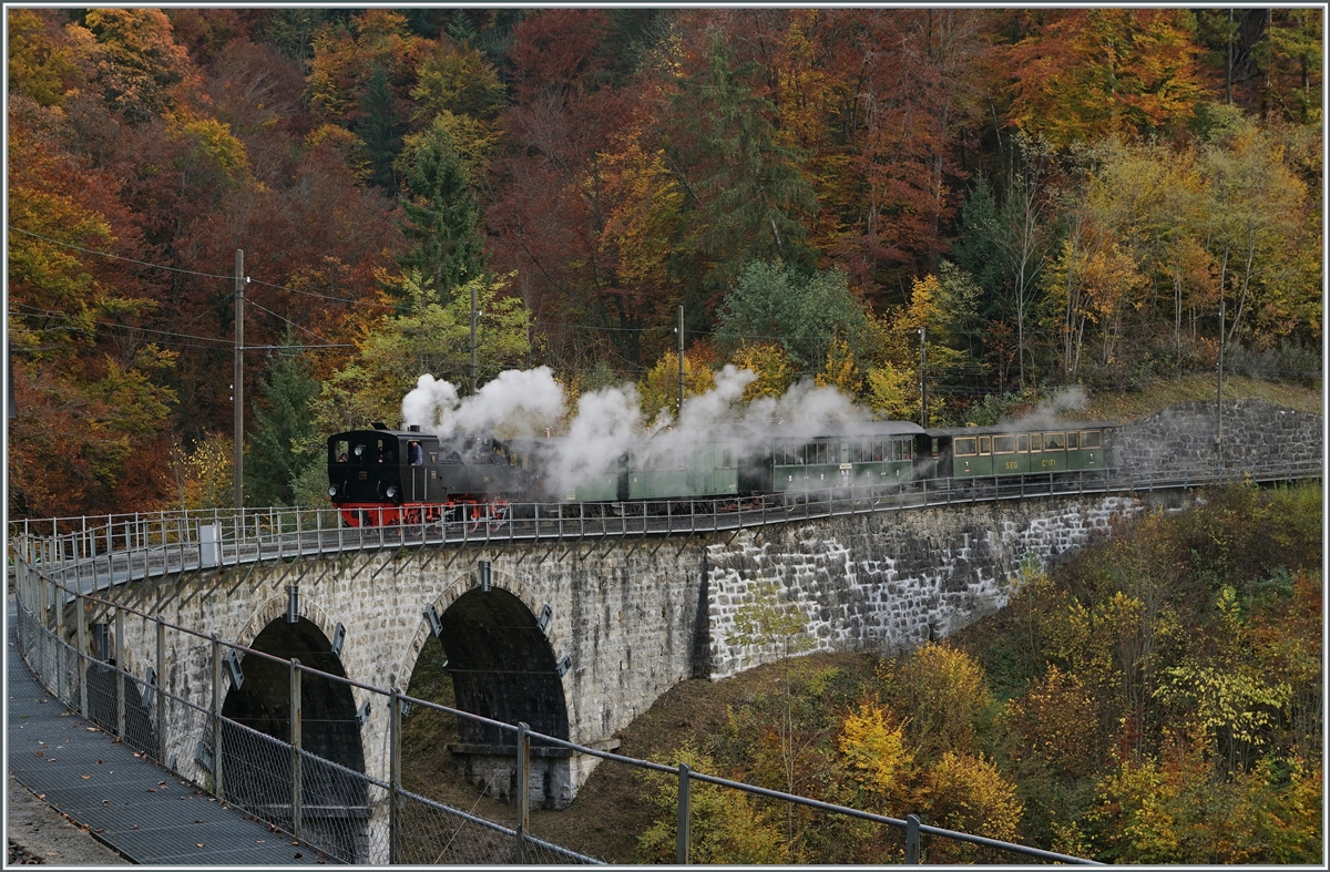 La DER 2021 du Blonay-Chamby - Bei Vers-chez-Robert dampft die Blonay-Chamby G 2x 2/2 105 ist ihrem Zug aus grünen Wagen nun auf den Baye de Clarnes Viadukt. 

30. Oktober 2021