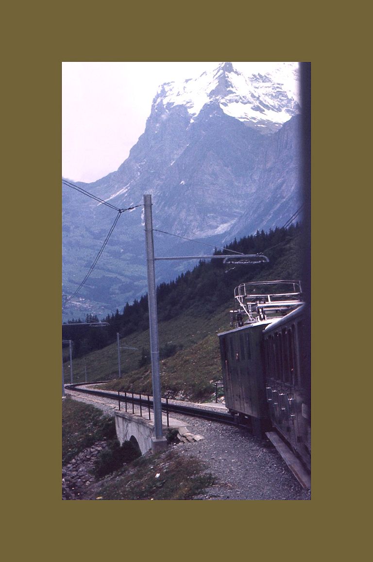 Lok 60 fährt in den steilsten Abschnitt unterhalb Alpiglen ein. 13.August 1968. 