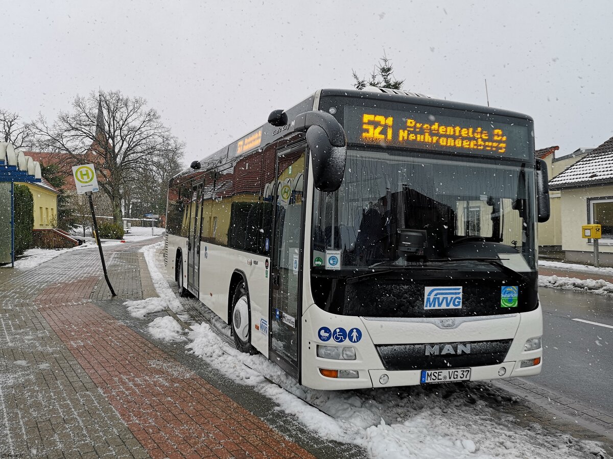 MAN Lion's City LE Ü der MVVG in Bredenfelde.