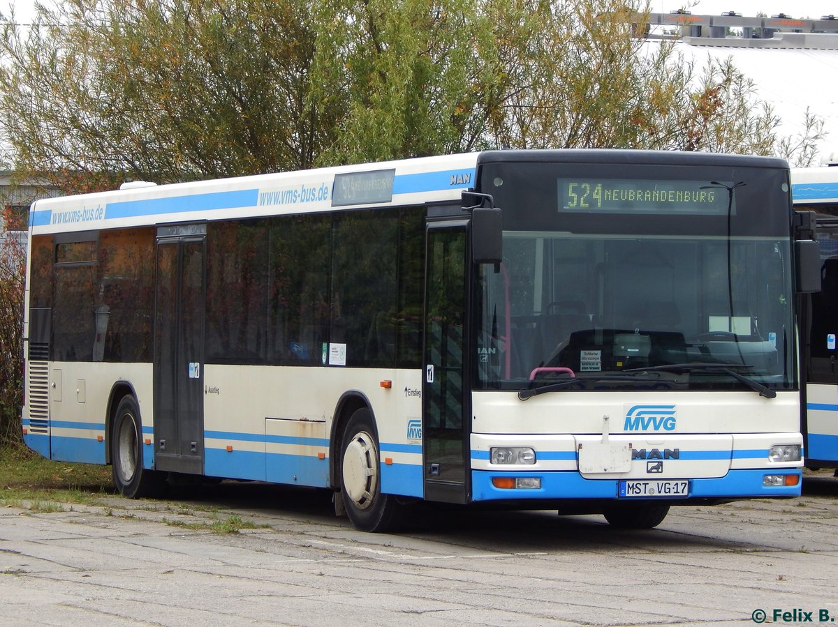 MAN Niederflurbus 2. Generation der MVVG in Neubrandenburg.