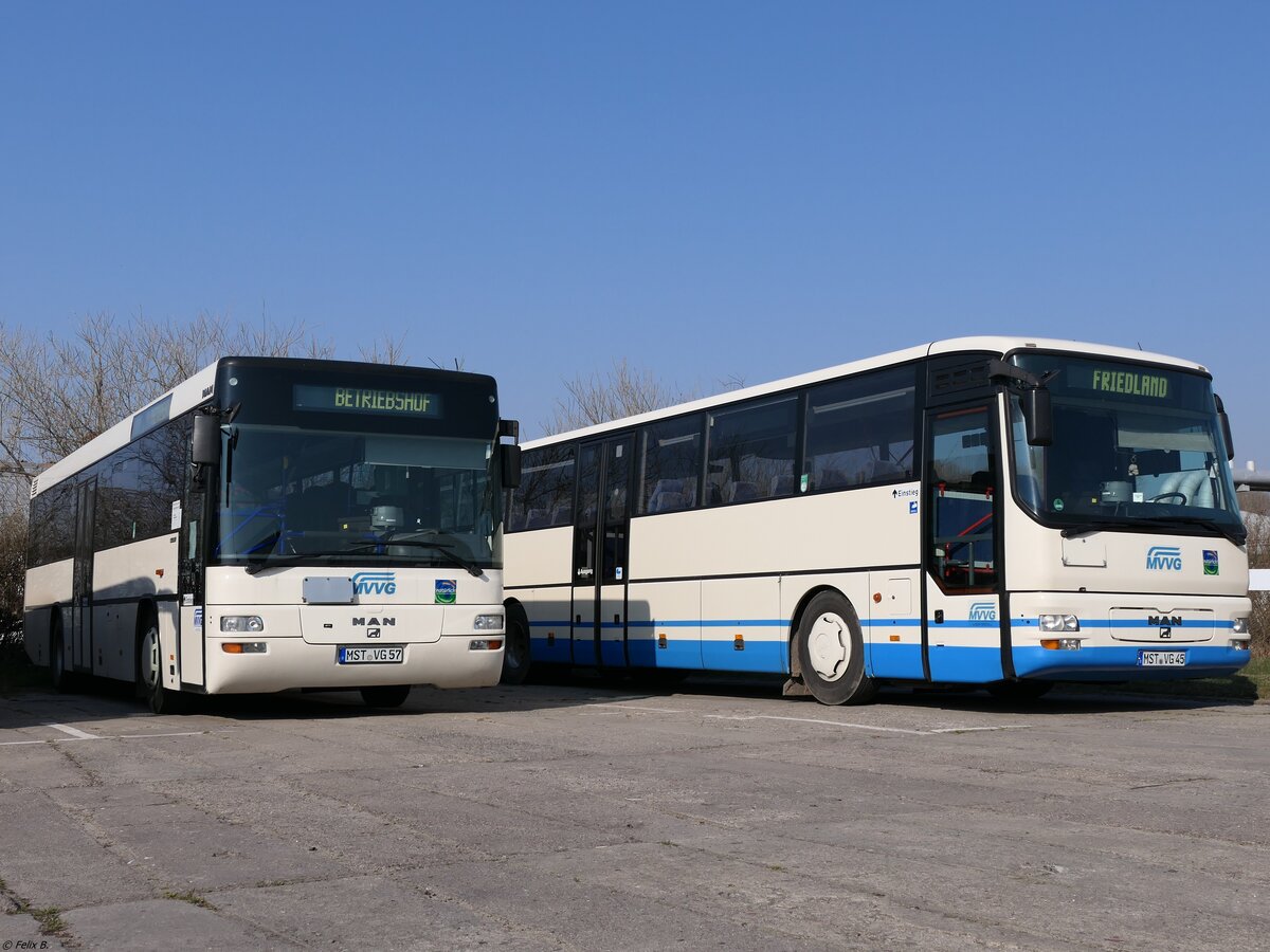 MAN SÜ 283 und MAN ÜL 313 der MVVG in Neubrandenburg.