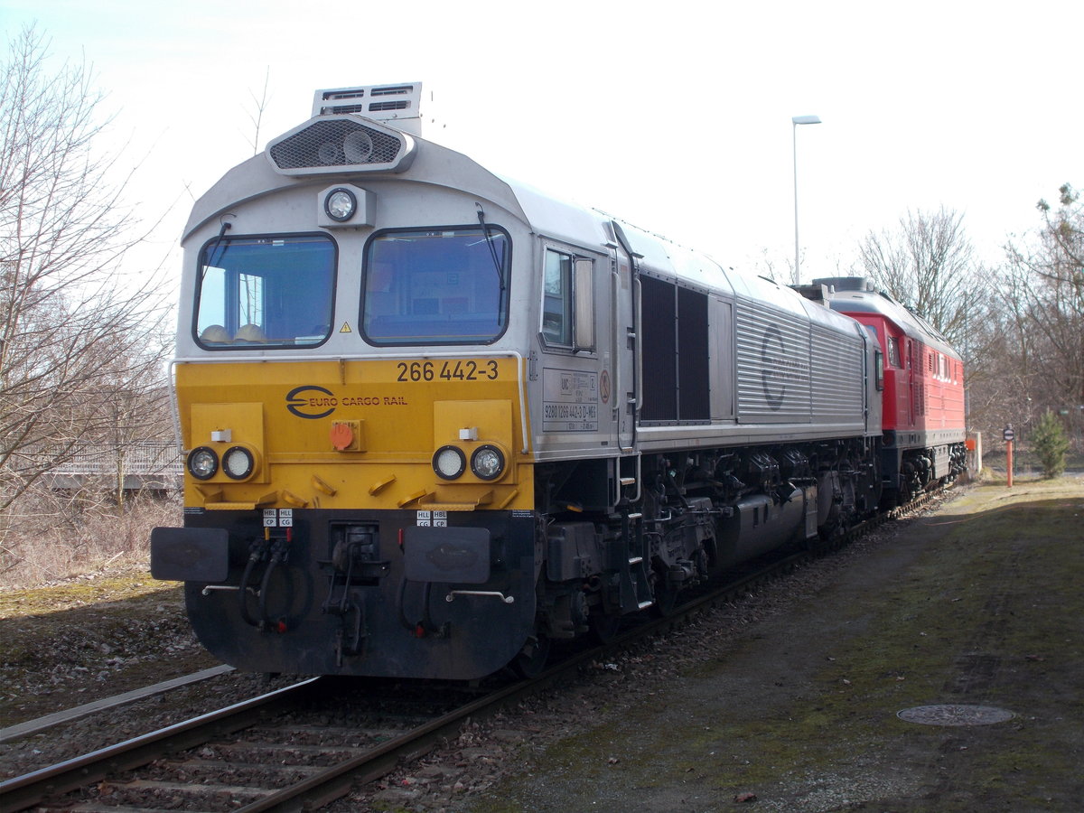 MEG 266 442-3 und die MEG 315,am 04.Mrz 2017,im Werkbahnhof Rdersdorf.