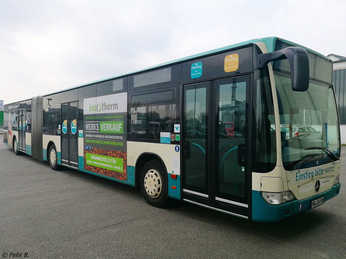 Mercedes Citaro II der Neubrandenburger Verkehrsbetriebe in Neubrandenburg.