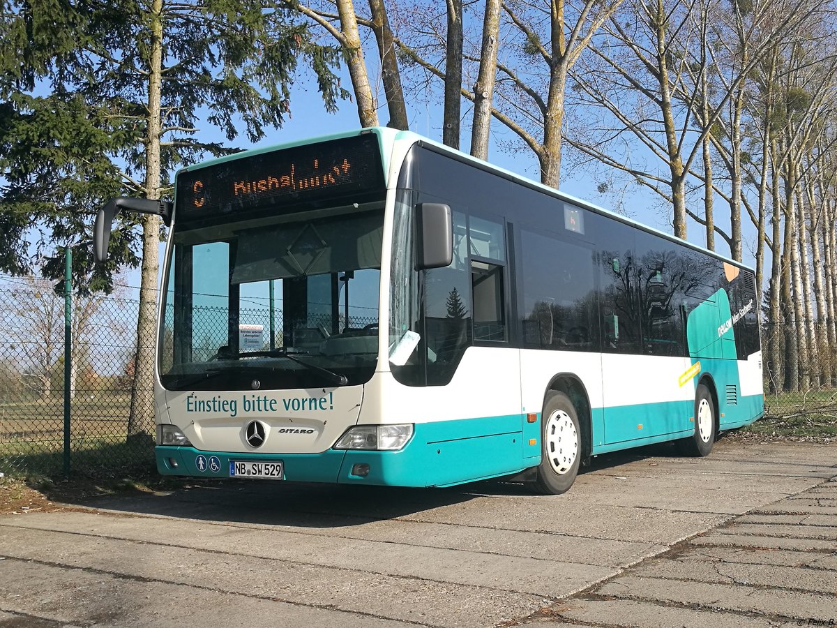 Mercedes Citaro II der Neubrandenburger Verkehrsbetriebe in Neubrandenburg.