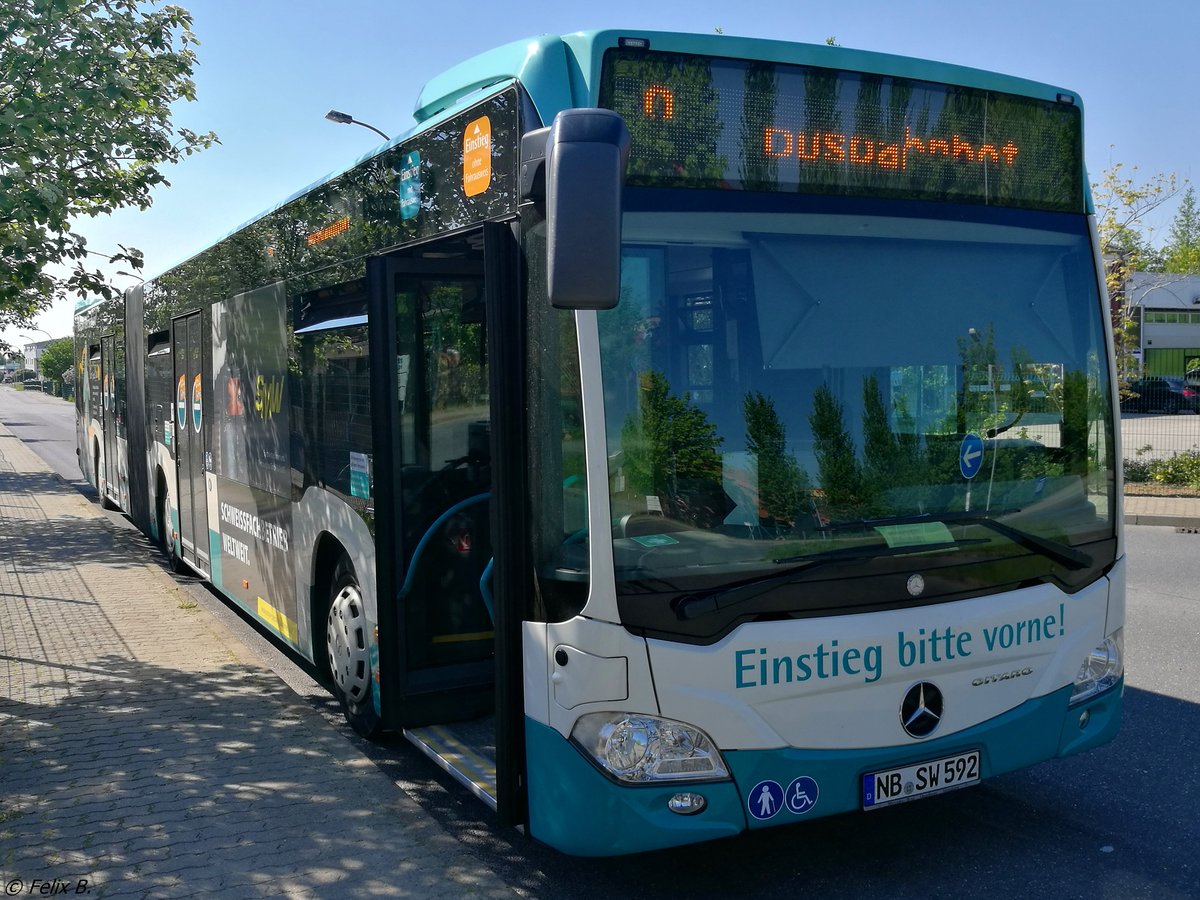 Mercedes Citaro III der Neubrandenburger Verkehrsbetriebe in Neubrandenburg.