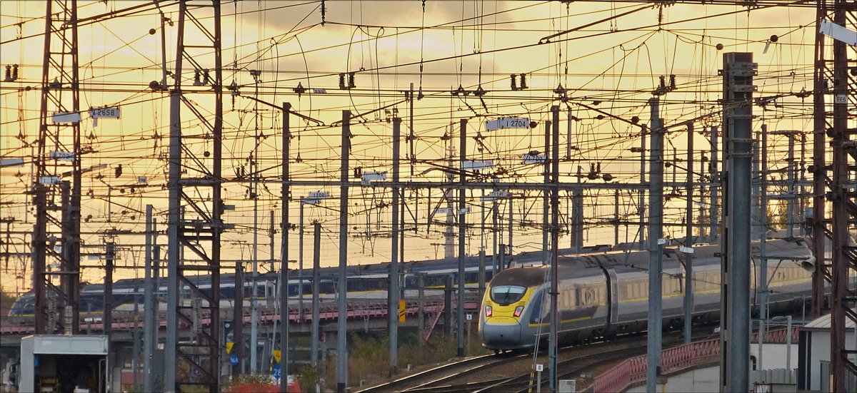 Motiv verdeckt - Im Mastenwald des Bahnhofsvorfeldes von Bruxelles-Midi kann man die Länge des Eurostar Triebzuges nur erahnen. 18.11.2017 (Hans)