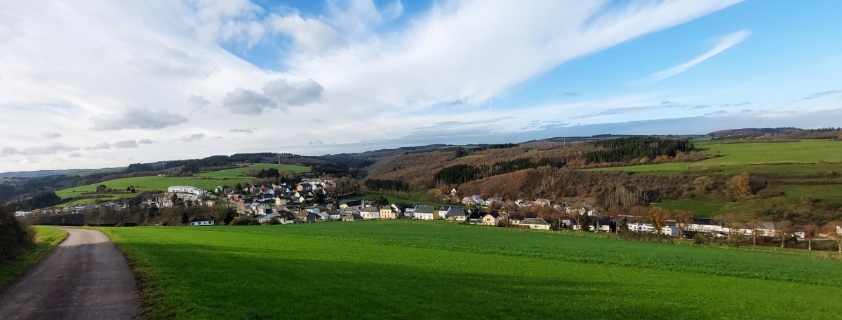 Nach einer frostigen Nacht sind die Farbenfrohen Farben an den Bumen nahe unserem Heimatort Erpeldange verschwunden. 18.11.2025