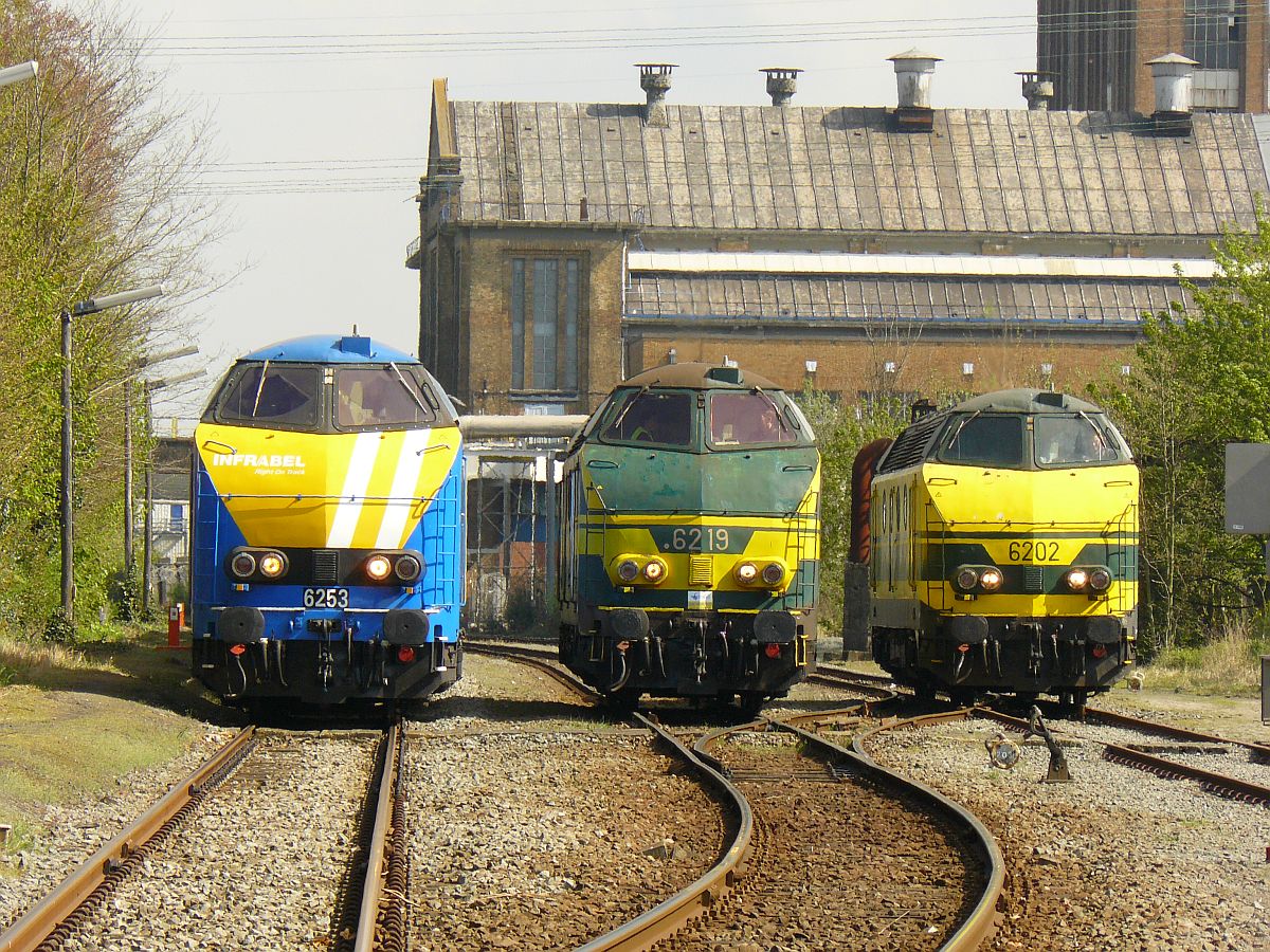 NMBS Diesellok 6202, 6219 und 6253 mit M2-Wagen. Sonderfahrt Museumsverein PFT/TSP. Langerbrugge 05-04-2014. 

NMBS diesellocomotieven 6202, 6219 en 6253 met M2-rijtuigen gefotografeerd tijdens rondrit van de TSP  Hulde aan de reeks 62 . Langerbrugge 05-04-2014.
