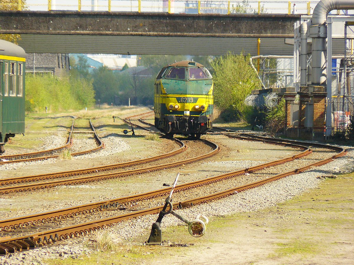 NMBS Diesellok 6219. Sonderfahrt Museumsverein PFT/TSP. Langerbrugge 05-04-2014. 

NMBS diesellocomotief 6219 aan het rangeren gefotografeerd tijdens rondrit van de TSP  hulde aan de reeks 62 . Langerbrugge Belgi� 05-04-2014.