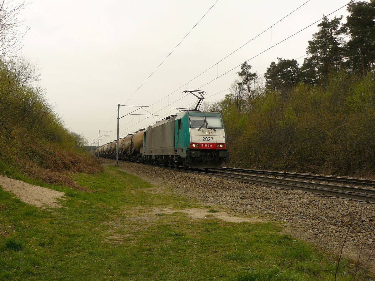 NMBS Lok 2827 mit G�terzug bei Gemmenich, Belgien 04-04-2014.

NMBS loc 2827 met ketelwagentrein. Spoorlijn Montzen-Aachen bij Gemmenich, Belgi� 04-04-2014.