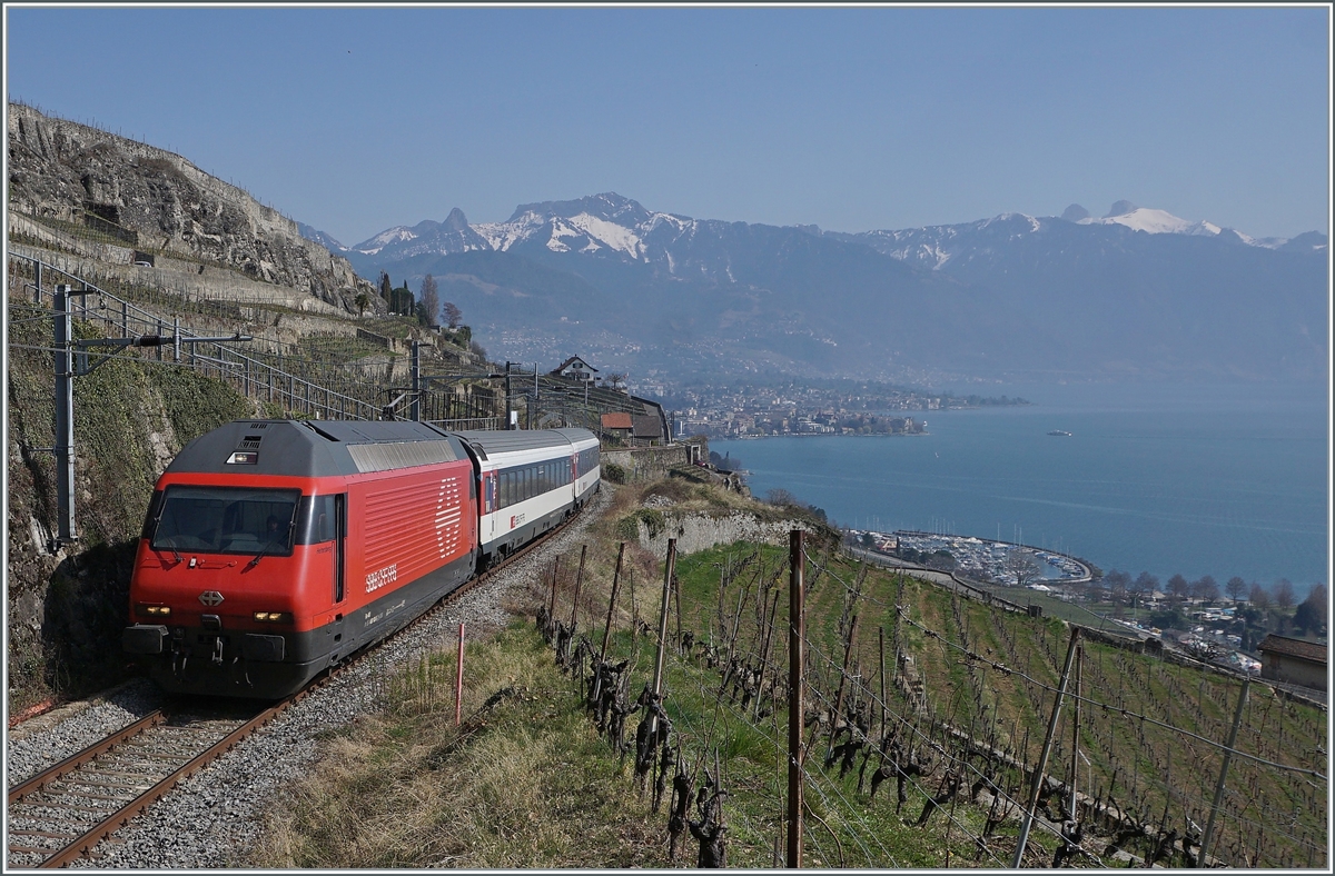 Noch einmal die SBB Re 460 103-5  Heitersberg  mit ihrem RE 30268 von St-Maurice nach Genève Aéroport zwischen Vevey und Chexbres kurz vor der Einfahrt in den 20 Meter langen Salanfe Tunnel oberhalb von St-Saphorin. 

20. März 2022