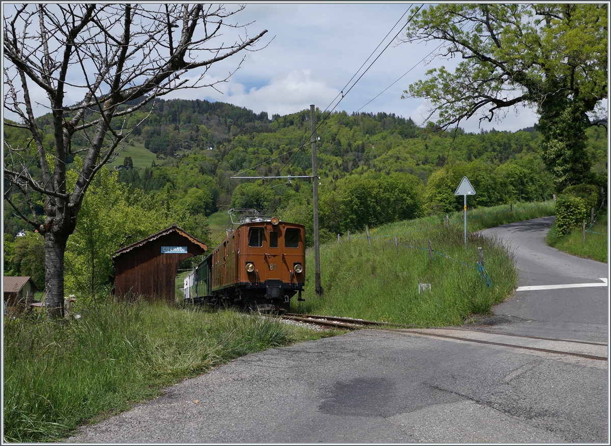  Nostalgie & Vapeur 2021  /  Nostalgie & Dampf 2021  - so das Thema des diesjährigen Pfingstfestivals der Blonay-Chamby Bahn; die Bernina Bahn RhB Ge 4/4 81 verlässt Cornaux in Richtung Chamby. 

22. Mai 2021