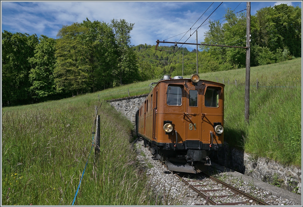 Nostalgie & Vapeur 2021  /  Nostalgie & Dampf 2021  - so das Thema des diesjährigen Pfingstfestivals der Blonay-Chamby Bahn. Die Bernina Bahn RhB Ge 4/4 81 der Blonay-Chamby Bahn verlässt den 45 Meter langen Tunnel Cornaux, welcher die Strecke von der Baye de Clarens kommend wieder auf die aussichtsreiche Seite der Riviera Vaudoise führt. 

23. Mai 2021