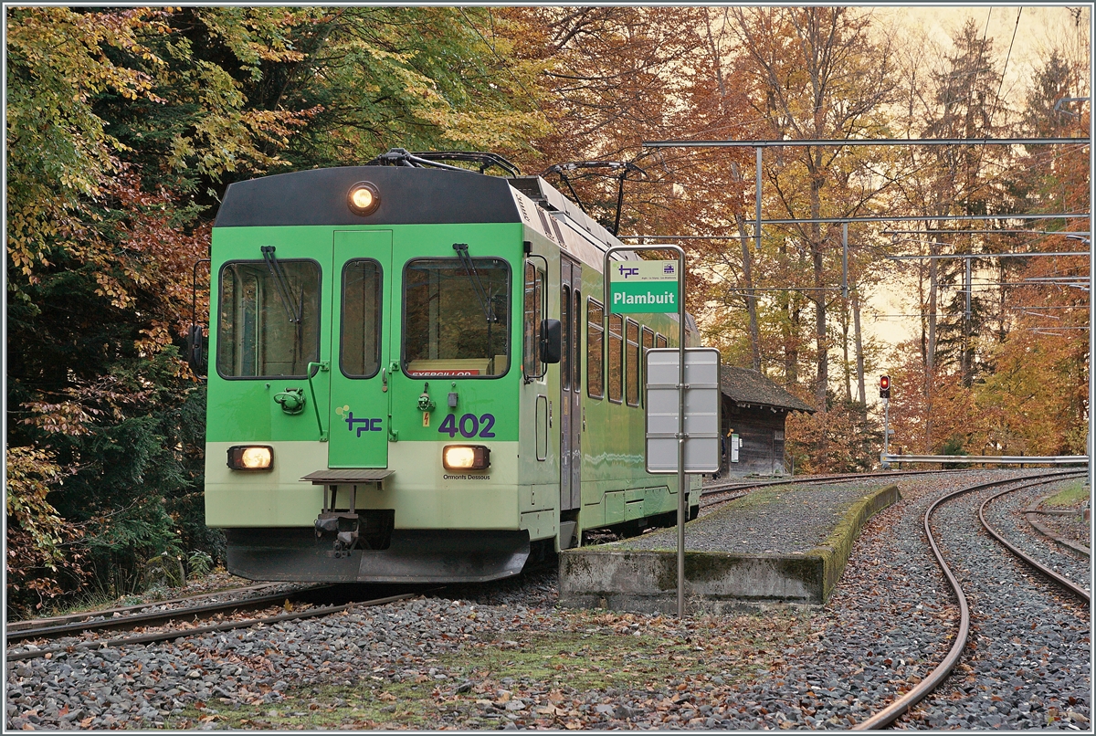 Plambuit - einer der zur Zeit zahlreichen ASD Endstationen...

Unstabiles Gelnde hat schon vor einiger Zeit die Strecke zwischen Exergilloud und Le Spey (bzw. Les Planches) unterbrochen und nun hat die Forstwirtschaft beschlossen zwischen Plambuit und Exergilloud Waldarbeiten durchzufhren und dafr sicherheitshalber auch diesen Streckenabschnitt zu sperren. Und in Plambuit gibt es nichts, ausser viel Wald, eine Bahnhof und den ASD BDe 4/4 4/4 402 der auf die Rckfahrt nach Aigle wartet.

5. November 2021