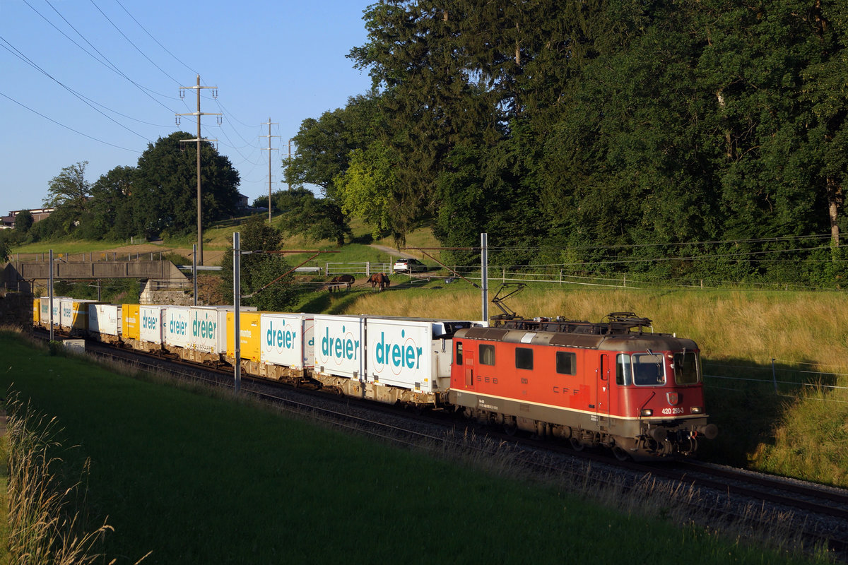 Re 420 293-3 mit einem Postzug nach Daillens im letzten Abendlicht bei Niederdbipp am 24. Juni 2020.
Foto: Walter Ruetsch