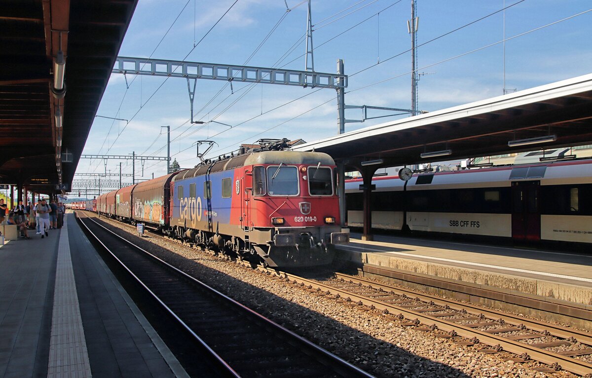 Re6/6 620 019  Arbon  durchfährt mit einem langen Güterzug den Bahnhof Stein-Säckingen. Rechts steht der Domino-Zug des Pendelverkehrs Stein Säckingen - Laufenburg. 21.August 2024 