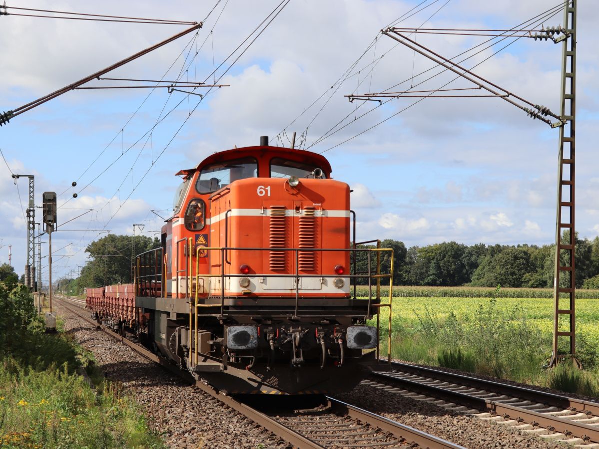 RVM (Regionalverkehr M�nsterland GmbH, M�nster) Diesellokomotive  61 (98 80 3295 953-4 D-RVM) type MaK G 1600 BB Baujahr 1974 Devesstra�e, Salzbergen 16-09-2021.

RVM (Regionalverkehr M�nsterland GmbH, M�nster) diesellocomotief  61 (98 80 3295 953-4 D-RVM) type MaK G 1600 BB bouwjaar 1974 Devesstra�e, Salzbergen 16-09-2021.