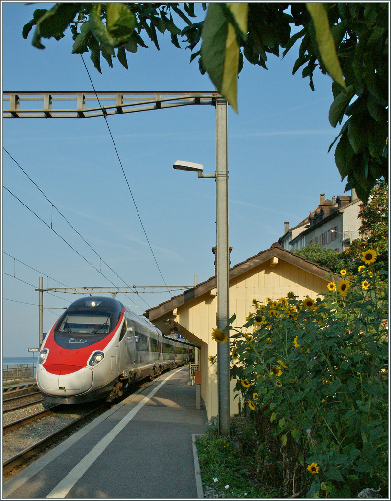 SBB ETR 610 als EC 37 auf der Fahrt nach Venezia bei der Durchfahrt in St-Saphorin. 
31. August 2013 
(1024px Variante) 